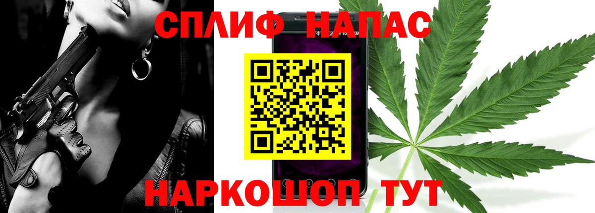 Конопля план Волхов